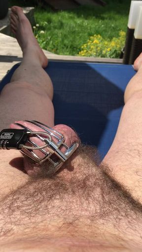 Chastity cage