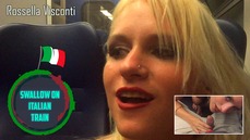 Swallow on Italian Train