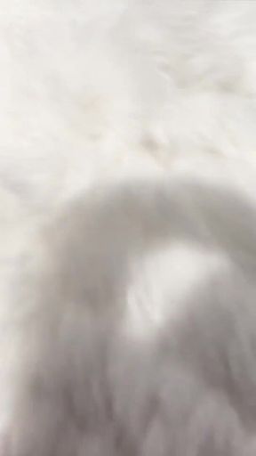 Bryan and Sisi Episode 3