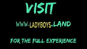 Naughty asian ladyboy fondling her cock