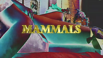 Mammals