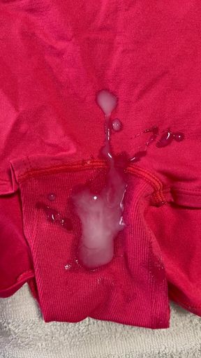 Cum on Wife's Panties 4