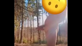 Geil im Wald... Abgespritzt