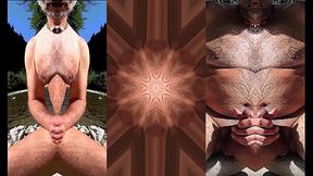 small uncut penis erection