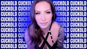 Cuckold 6 Video Compilation - Jessica Dynamic