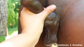 BBC Massage Only with My Hands