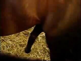 selen, an italian woman