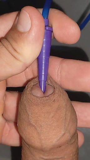 Penis Probing with Application of Fortifying Serum.