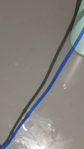 Penis Probing with Application of Fortifying Serum.