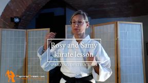 Rosy and Samy karate lesson sparring destruction