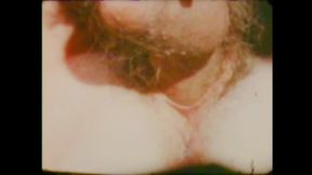 Cyndee Summers and Friends