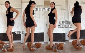 I Crushed You Beneath My Heels - CBT Fantasy