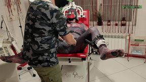 Playing Puppies the First Examination