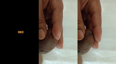Luxeslut toys wild behind the sheets cumshot handjob