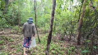 Amateur Thai villagers have sex in the forest public 4K 18+