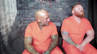 Ursos americanos tatuados e tarados fazem sexo oral caprichado e depois recebem uma rola enorme sem camisinha.