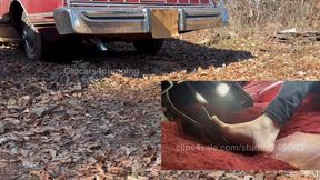 Just a short vid, but don’t let it fool you! Some good REVVING!