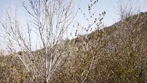 Amiee Black enjoys horny outdoor loving
