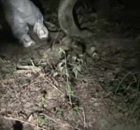 Slut twink fucked by XXL cock bear in wood in the night