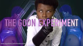 THE GOON EXPERIMENT