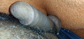 Desi land