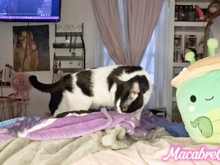 Black Hotty tries anal princess training but doesn't final lengthy // cums with rosetoy to feel more excellent