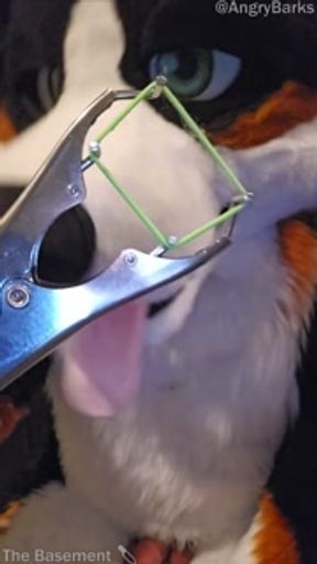 Elastrator Play with @AngryBarks Good Boys Get Neutered!