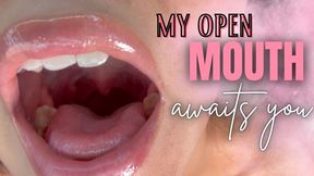 my open mouth awaits you