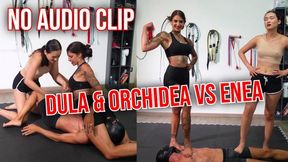 NO AUDIO CLIP Dula & Orchidea vs Enea