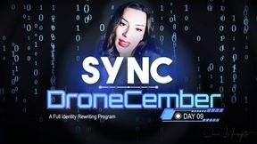 Day 9: Follow the Pulse