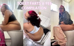 Real Daily Toilet Farts &amp; Pee Compilation Personal Bathroom Moments