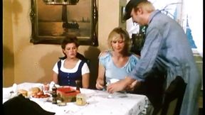 Vintage German porn model Christine Schwartz fucks hard in retro porn movie