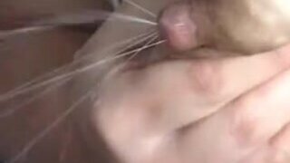 H o y o ray for b o y o bies got milk