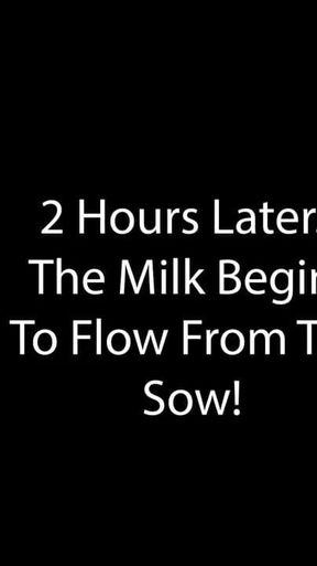 Claudia Marie Fake Tits Milked