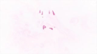 Pussy masturbation close up for Mitsuri cosplay