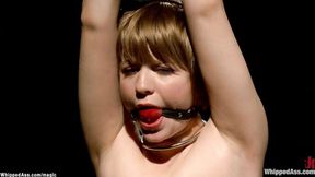 ”Straddled & strapped sub whipped”