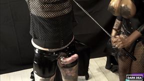 the kinky slut queen  dark dea  whip and pegging ass of her slave