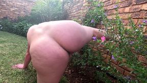 Chubby slut taking a piss on the rose bush