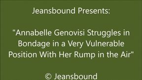 Annabelle Genovisi Balltied on the Bed - SQ