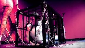 English MILF Michelle Thorne gives a blowjob with big breasts and full ass