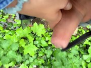 Close up outdoor piss on a wall