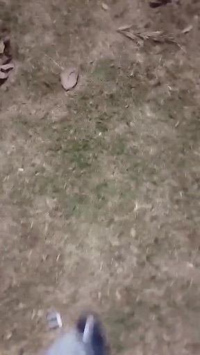 Outdoor Sex, of All Sexualities, Is Now Allowed in My Condominium