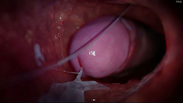 Friends share hard cock in animated 3D session