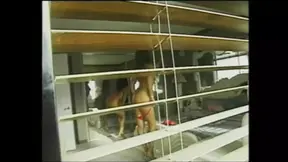 Classic vintage movie: Girl fucked by big cock and friend wanks her pussy