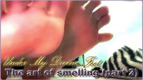 The art of smelling (part 2)