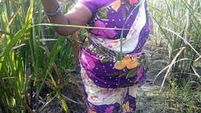 Indian Desi Porn Scene in Sugarcane Garden