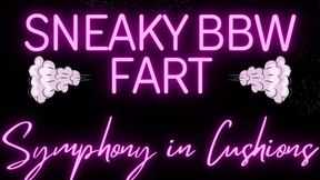 Sneaky BBW Fart Symphony in Cushions