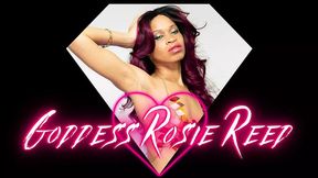 Gooner Cheater- Ebony Femdom Goddess Rosie Reed