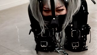 Rubber puppy is connected to a thick leash for a friendly walk ❤