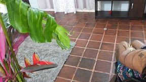 Balbina BBW Pantyhose Goddess ultra sexy teasing on black sandals